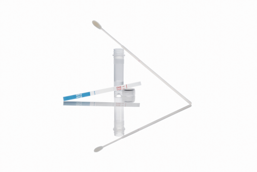 NADAL PROM Amniotic fluid Test 20 Teststreifen, Parameter: 