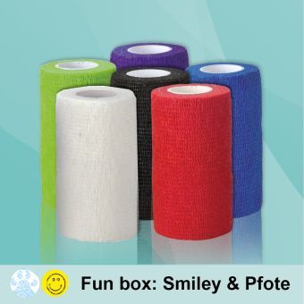 Flex Bandage 5cm x 4,5m Fun-Box mit Smiley und Pfote 